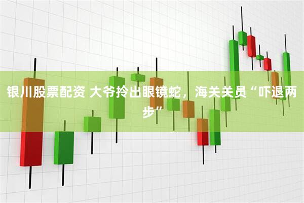 银川股票配资 大爷拎出眼镜蛇，海关关员“吓退两步”