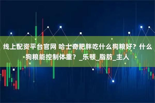 线上配资平台官网 哈士奇肥胖吃什么狗粮好？什么狗粮能控制体重？_乐顿_脂肪_主人