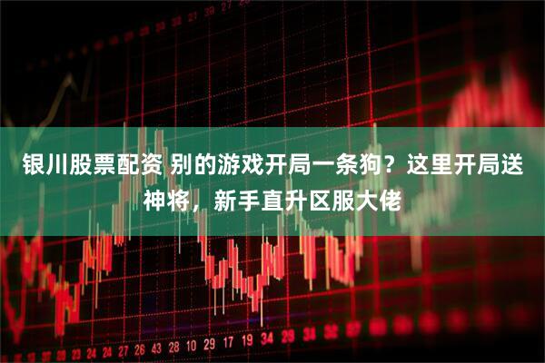 银川股票配资 别的游戏开局一条狗？这里开局送神将，新手直升区服大佬